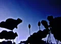 VJ Loop 136 : Lotus Reflections on Water 2 Footage