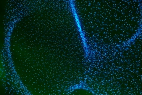 VJ Loop 137 : 3D Particles - Blue 1 Stock Footage
