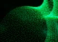 VJ Loop 139 : 3D Particles - Green 2 Footage