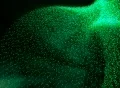 VJ Loop 139 : 3D Particles - Green 2 Web Footage