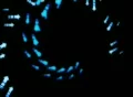 VJ Loop 167 : Arrow B 03 Blue Web Footage