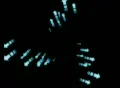 VJ Loop 169 : Arrow B 04 Blue Web Footage