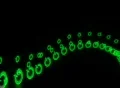 VJ Loop 190 : Recycle B 01 Footage