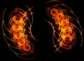 VJ Loop 203 : Sector 04 Orange Web Footage