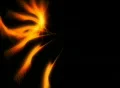 VJ Loop 223 : Stroke 3D 02 Orange Footage