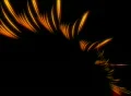 VJ Loop 226 : Stroke 3D 04 Footage