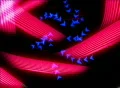 VJ Loop 230 : Stroke 01 R Pink Footage