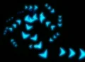 VJ Loop 275 : Pointer AR 02 Cold Web Footage