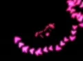 VJ Loop 283 : Pointer AR 04 Pink Footage