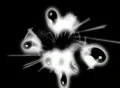 VJ Loop 317 : YingYang Sect 01 BW Footage