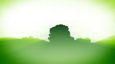 VJ Loop 360 Trees bg sh hd Vidéo 395686
