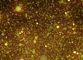VJ Loop 361 Particles 2 Yellow Web Footage