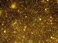 VJ Loop 361 Particles 2 Yellow Footage