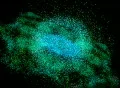VJ Loop 363 Particles Eye 01 Web Footage