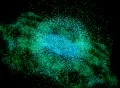 VJ Loop 363 Particles Eye 01 Footage