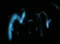 VJ Loop 378 Spiral Particles 2 Blue Web Footage