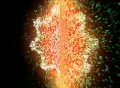 VJ Loop 390 Particles World 11 Footage