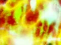 VJ Loop 420 Motion Background Orange Footage