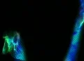 VJ Loop 425 Psychedelic Layer 2 Web Footage