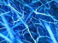VJ Loop 455 : Organic World Footage