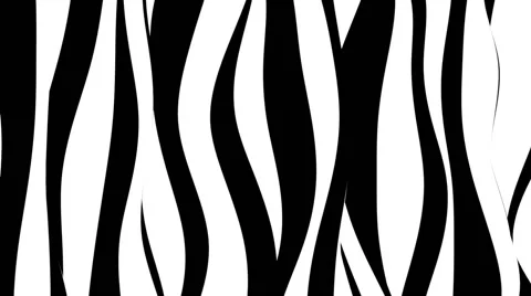 VJ Loop - Black and white curvy zebra stripes Stock Footage 40257747