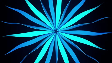 VJ Loop - Blue pinwheel plant wilting and regrowing Stock Footage 41373220