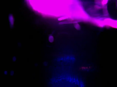 Vj Loop Dark Ball Stock Footage 77369706