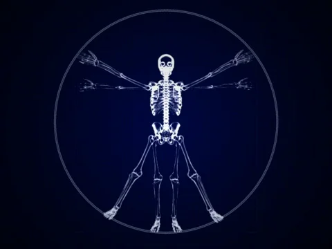 VJ Loop DaVinci Skeleton b mr Stock Footage 374589