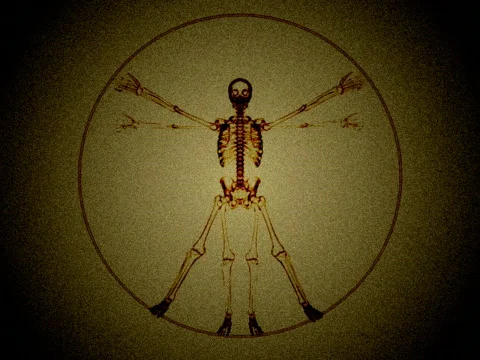 VJ Loop DaVinci Skeleton b2 mr Vidéo 374604