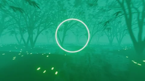 VJ Loop flight through a gloomy foggy fairy forest. Circle in the middle with a Stock Footage 248905742