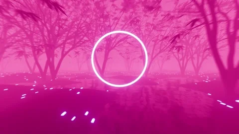 VJ Loop flight through a gloomy foggy fairy forest. Circle in the middle with a Stock Footage 249600710