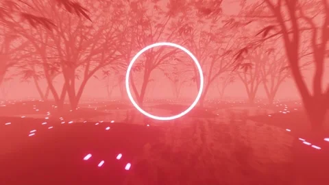 VJ Loop flight through a gloomy foggy fairy forest. Circle in the middle with a Stock Footage 249876574