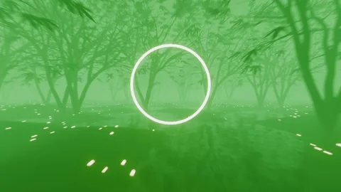 VJ Loop flight through a gloomy foggy fairy forest. Circle in the middle with a Stock Footage 250847758