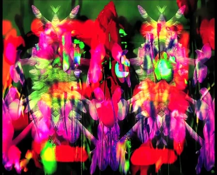 VJ LOOP - Flower Countdown Stock Footage 42127457