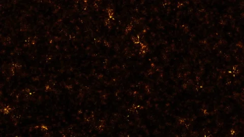 VJ Loop glow star particles float up on black abstract background Stock Footage 309459719