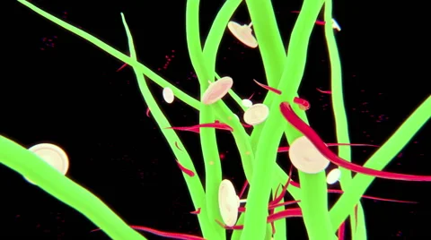 VJ Loop - Green tree growing pulsating speaker buds Stock Footage 41373613