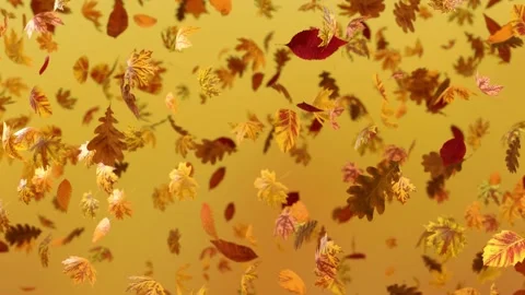 VJ loop. Many slowly falling autumn leaves on a yellow background. Stock Footage 201620019