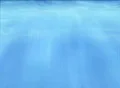 VJ Loop Undewarter 001 Footage