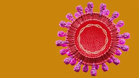 VJ loop with vibrant disco patterns for immersive music experiences Stock Footage 294346501