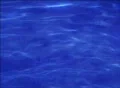VJ Loop Water 003 Web Footage