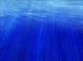 VJ Loop Water 009 Web Footage