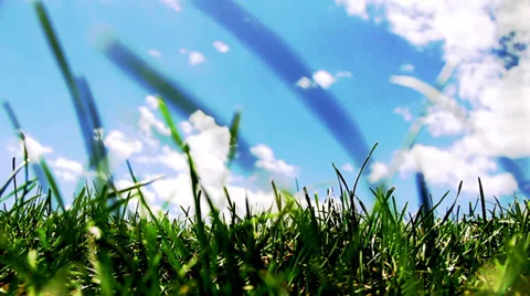 Vj Loops Grass Sweep Stock Footage 39710930