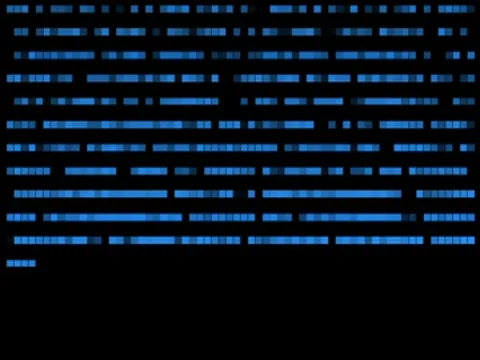 VJ640 patternfinder Vídeo Stock 8522711