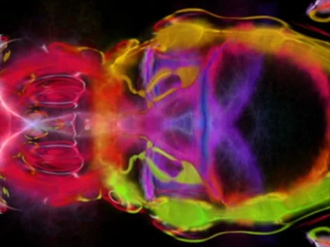 VJ640 SLITH6 Vidéo 8522816