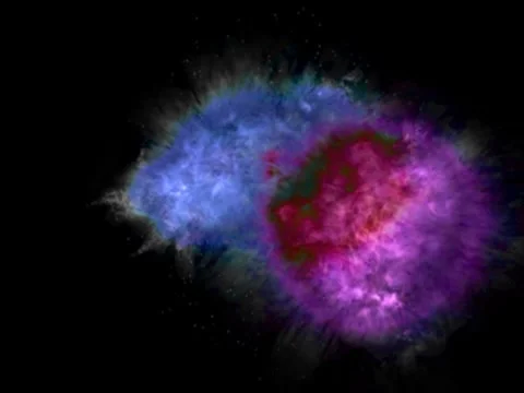 VJ640 vbloom1 Video stock 8522913