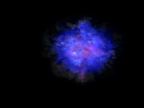 VJ640 vbloom2 Video stock 8522893