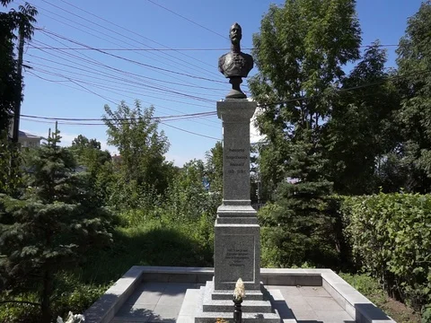 Vladimir Markovskii Vídeo Stock 87698368