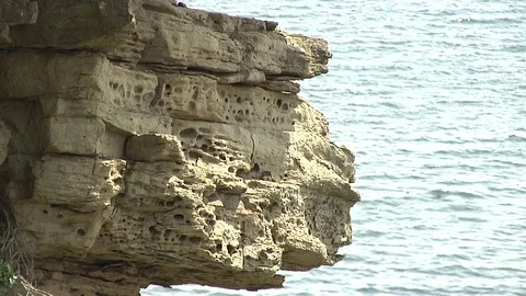 Vladivostok Video stock 72092235