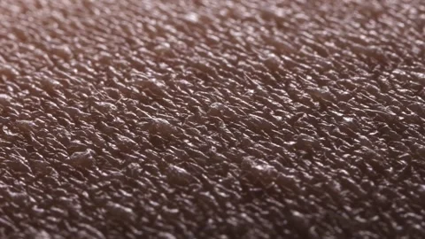 Vlakna 5 Stock Footage 326352303