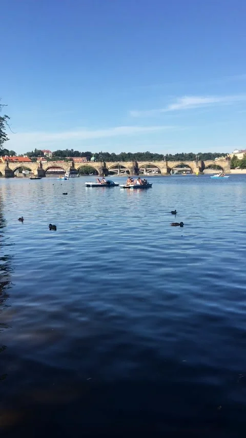 In Vltava river with beautiful Prague view Stock Footage 161784982